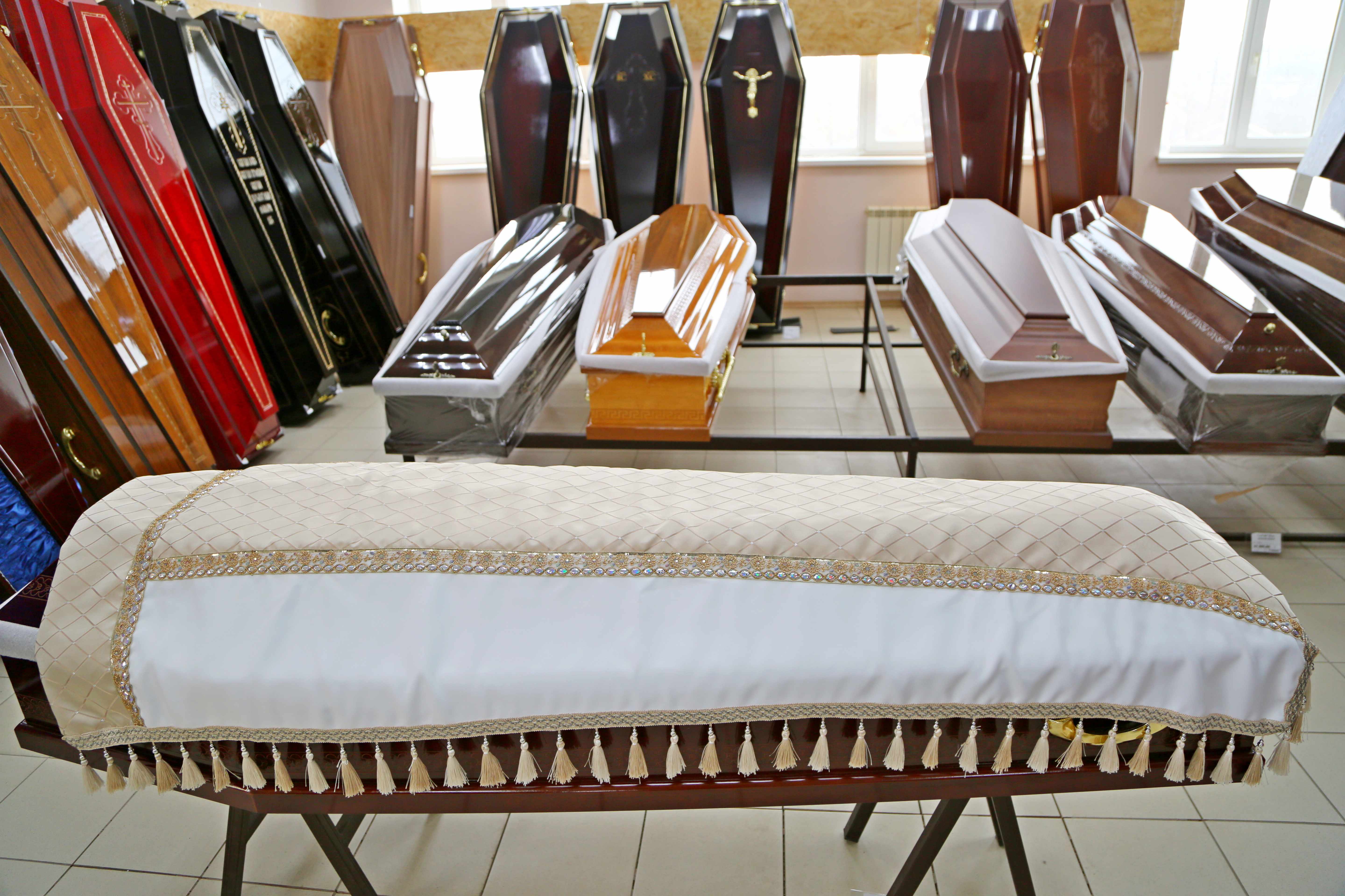 Элитный (Светлый) - Фото 1